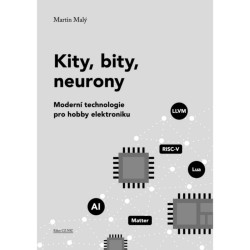 Kity, bity, neurony - Martin Malý