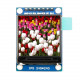 Barevný displej IPS 1.3" 240x240 ST7789 SPI