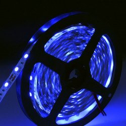 LED pásek modrá 5m SMD5050 IP20 (60led/m, 6W/m, 12V)