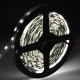 LED pásek studená bílá 5m SMD5050 IP20 (60led/m, 6W/m, 12V)