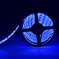 LED pásek modrá 5m SMD5050 voděodolný IP65 (60led/m, 5W/m, 12V)