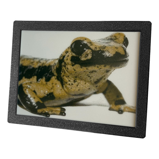 SVERIO PaperBoard tříbarevný 5.83" GDEW0583C64 s černým rámečkem
