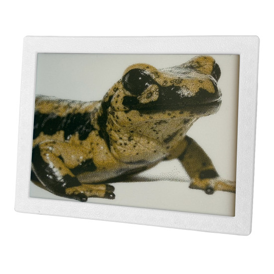 SVERIO PaperBoard tříbarevný 5.83" GDEW0583C64 s bílým rámečkem