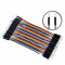 Barevný DuPont Kabel M-M (samec samec) 10cm 40ks