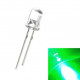 LED dioda XINGLIGHT XL-504UGC 5mm, zelená s vysokým jasem