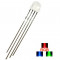 LED dioda kulatá inteligentní WS2811-F5 5mm, RGB difuzní
